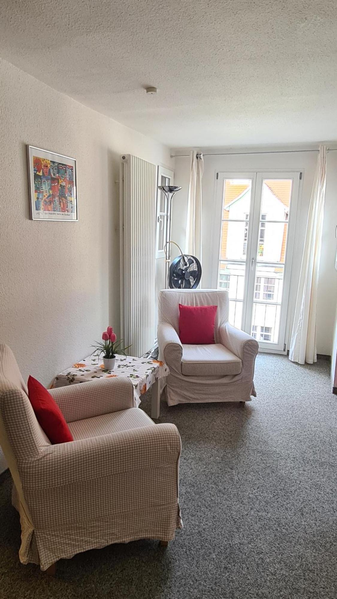 Schwabenstuben Apartment Meersburg Dış mekan fotoğraf