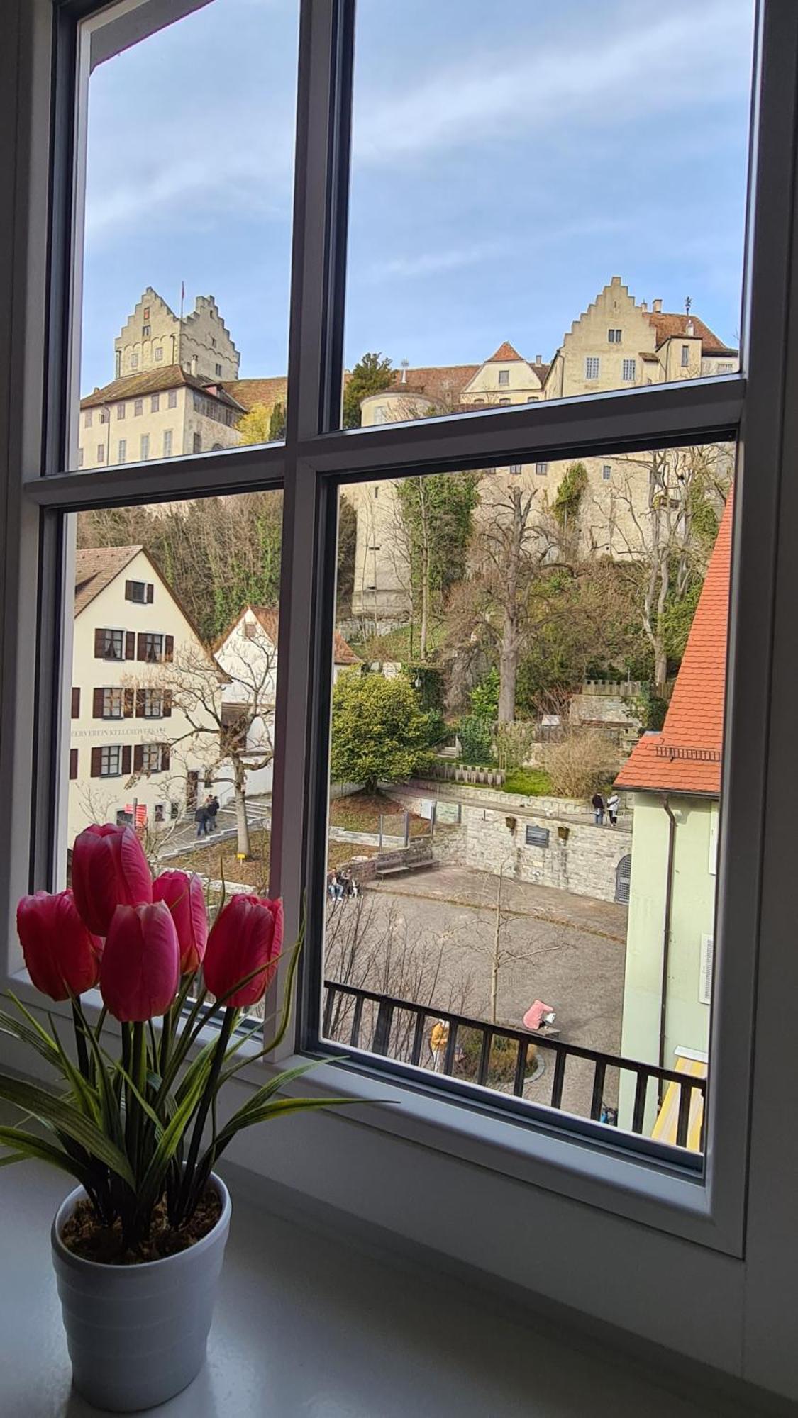 Schwabenstuben Apartment Meersburg Dış mekan fotoğraf