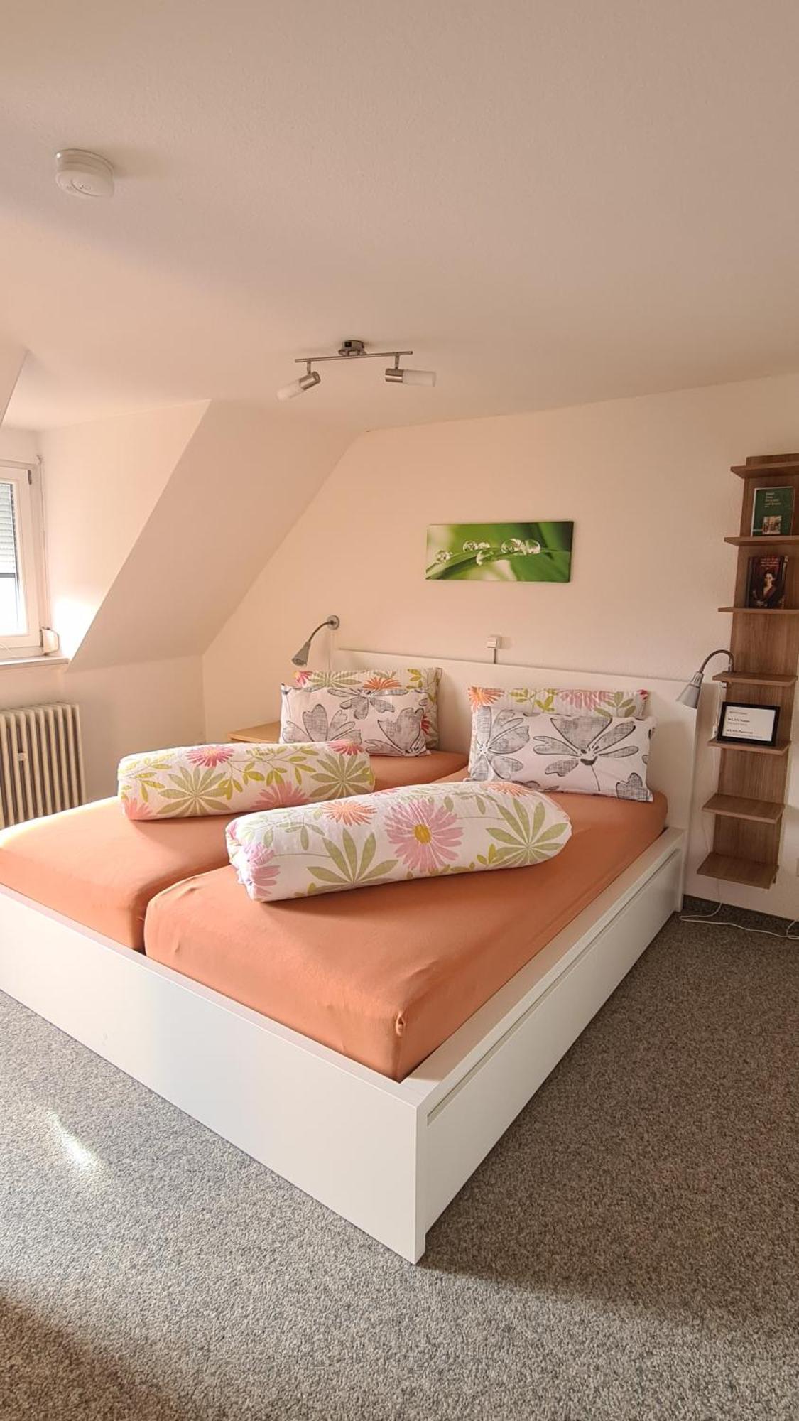 Schwabenstuben Apartment Meersburg Dış mekan fotoğraf